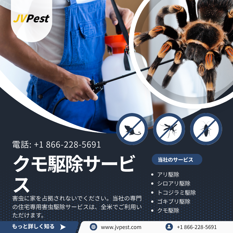 クモ駆除 2 クモ駆除