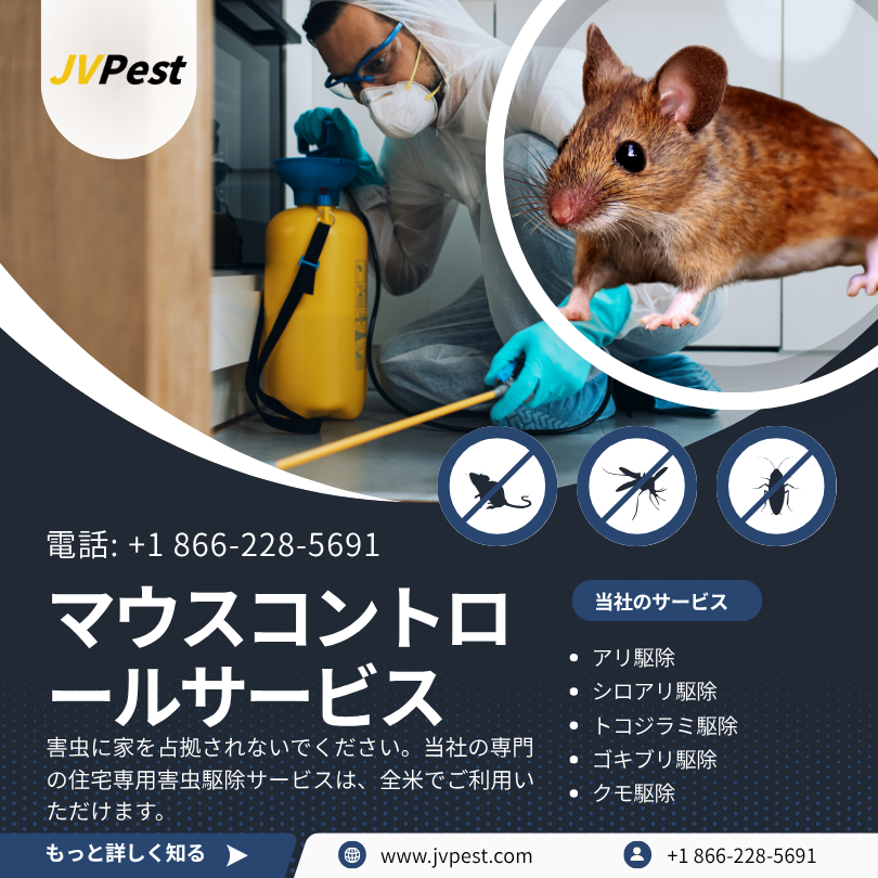 マウスの除去 2 マウスの除去