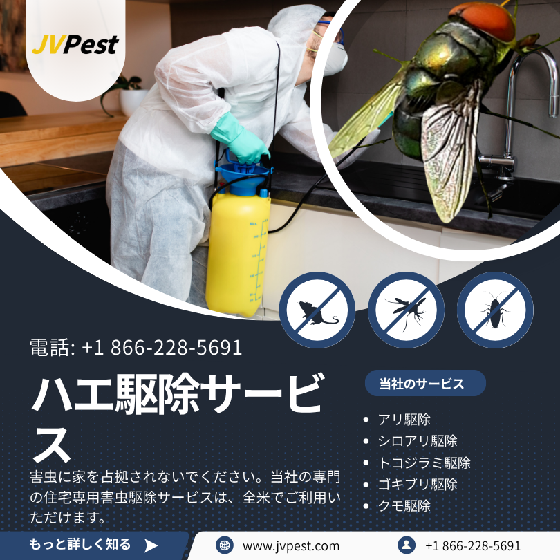ハエ駆除 2 ハエ駆除