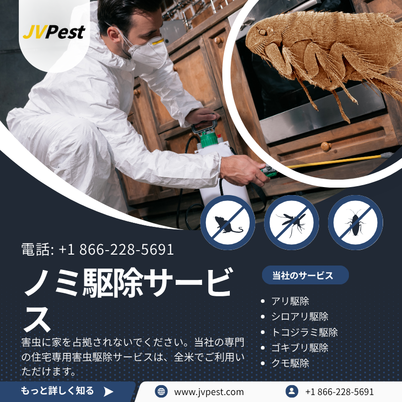 ノミ駆除 2 ノミ駆除