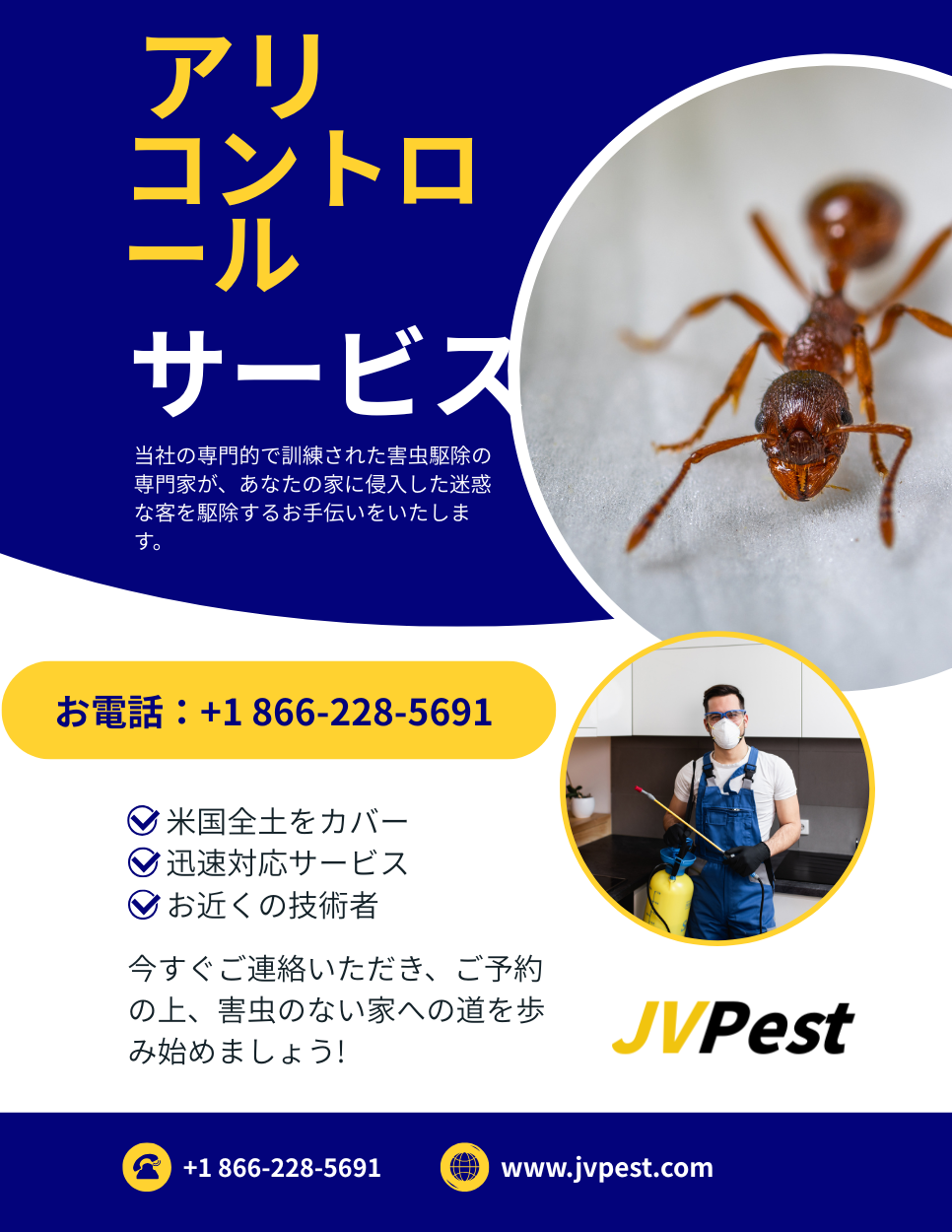 アリ駆除 3 アリ駆除