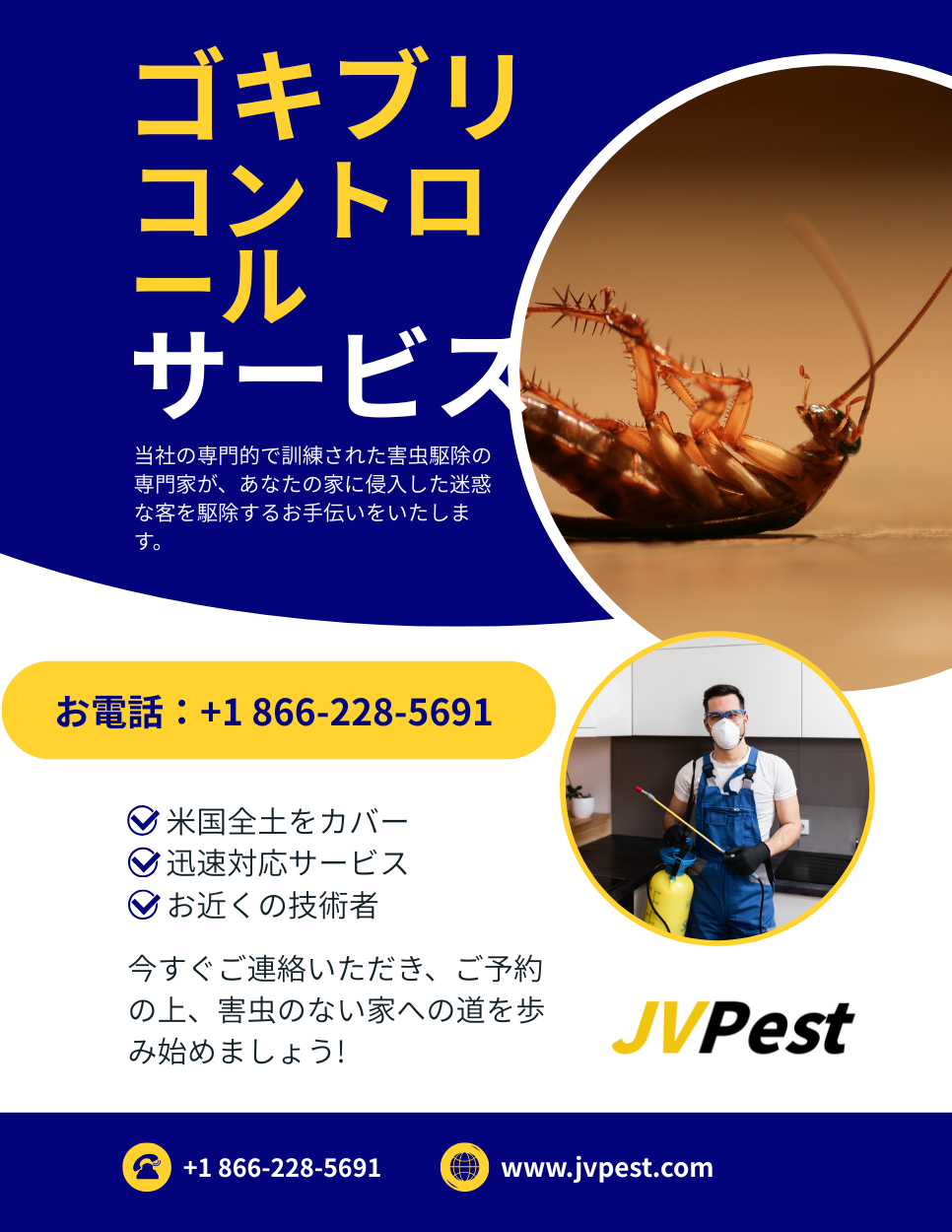 ゴキブリ駆除 3 ゴキブリ駆除