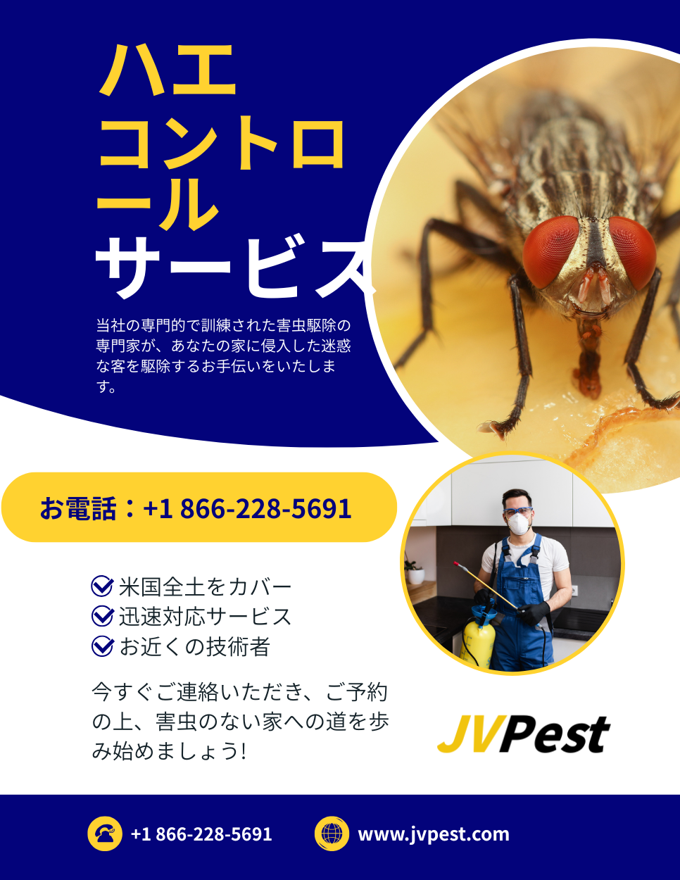 ハエ駆除 3 ハエ駆除