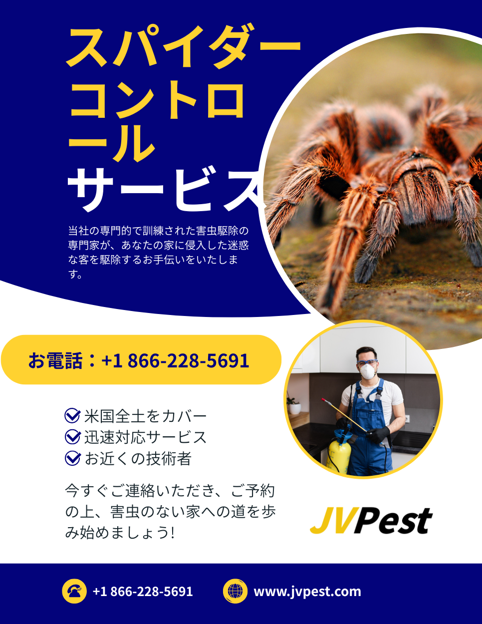クモ駆除 3 クモ駆除
